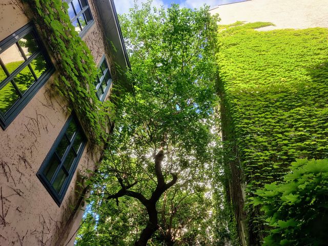 Lovely patio in our hostel in Vienna