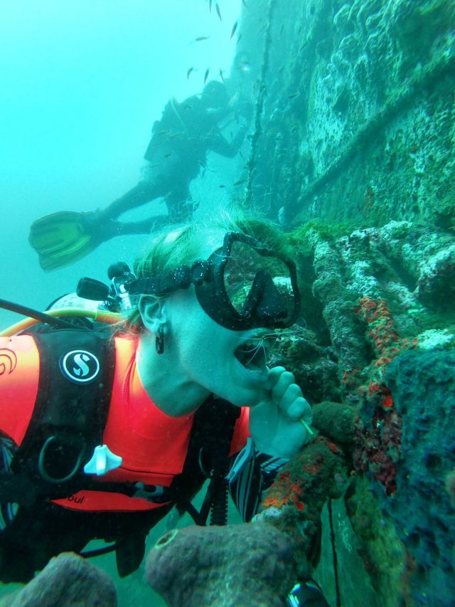 Cleaner Shrimp cleans Diver