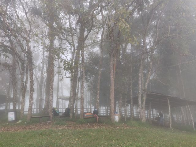 Foggy Takeoff Roldanillo